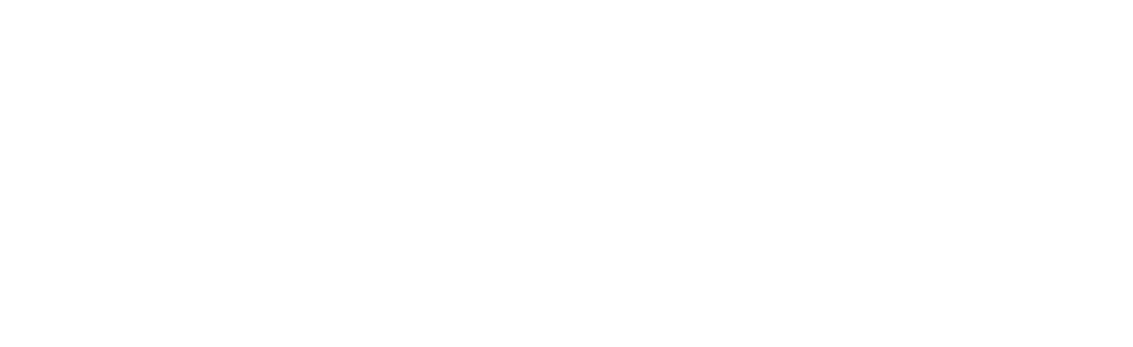 A10
